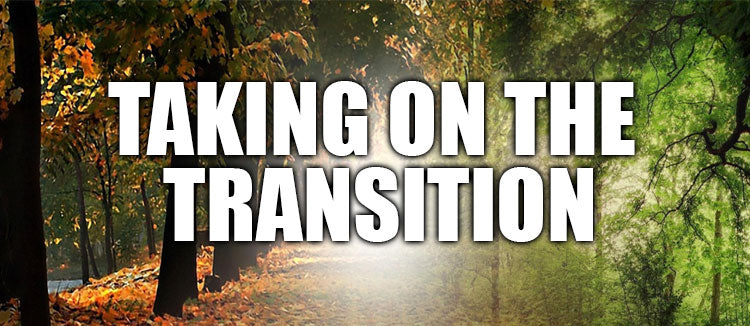 Taking on the Transition